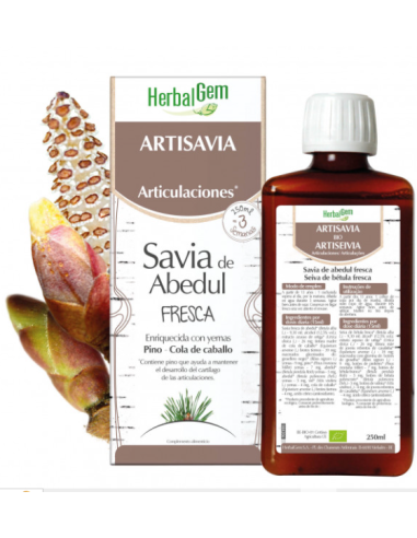 Herbalgem Artisavia Bio 250 ml Nf