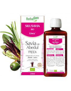 Herbalgem Silusavia Bio 250 ml
