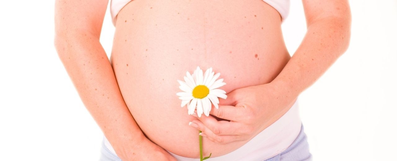 Fitoterapia durante el embarazo y la lactancia. 